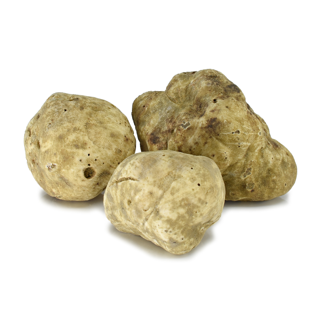 Fresh White Truffle-Tuber Magnatum Pico