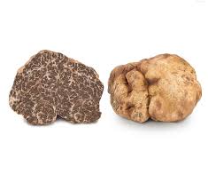 Fresh Bianchetti Truffle-Tuber Albidium Pico