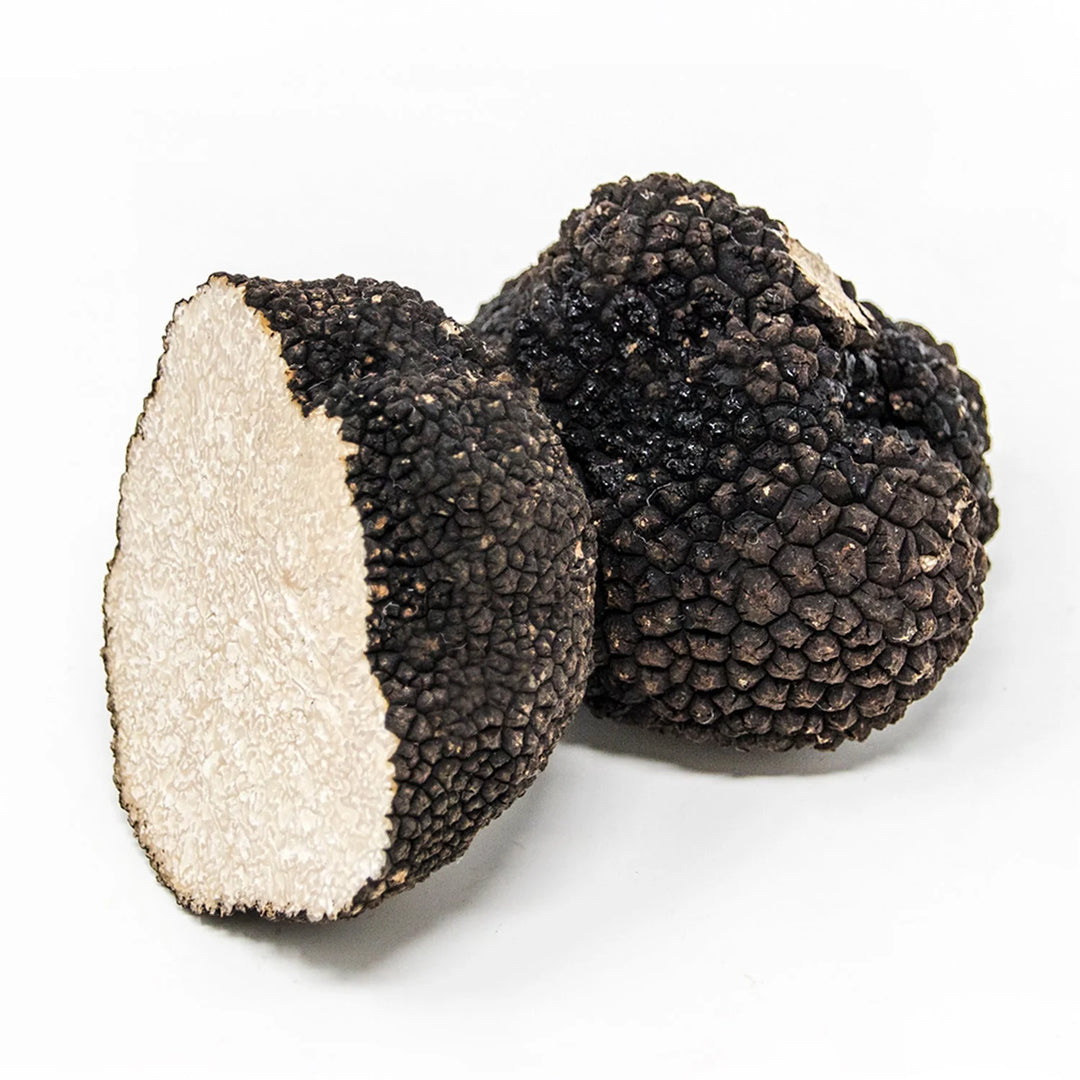 Fresh Black Summer Truffle-Tuber Aestivium