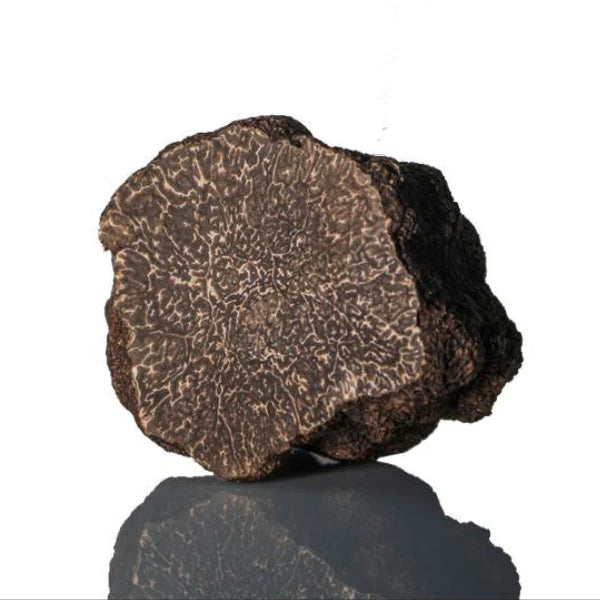 Fresh Black Truffle- Tuber Melanosporum