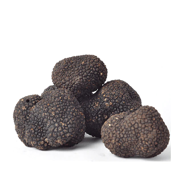 Fresh Black Truffle-Tuber Uncinatum